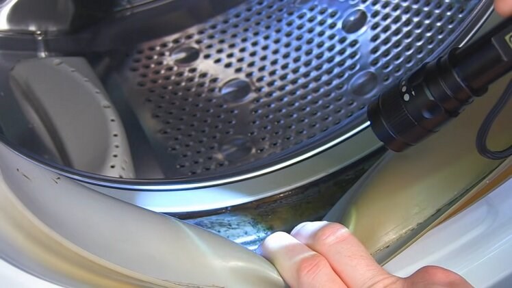 Inspecting The Washing Machine Door Seal For Mould And Damage With A Torch