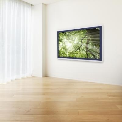 A Wall Mounted TV
