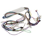 Beko Dishwasher Cable Harness