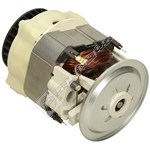 Lawnmower Motor Assembly