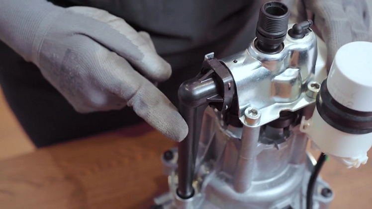 The pump feed pipe,which protrudes from the side of the pump and is pointing down by the side of the motor.