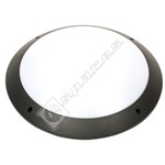 LED Amenity Ceiling/Wall Light