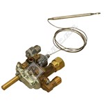 Zanussi Temperature Regulator