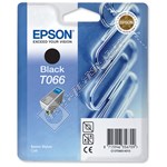 Epson Genuine Black Ink Cartridge - T066