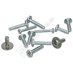 Bissell Deep Cleaner Screw Kit Miscellaneous