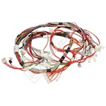 Hoover Wiring harness