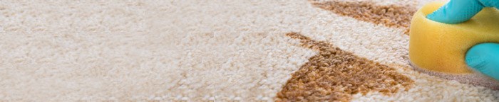 How to Clean Food Stains from Your Carpet