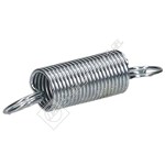 Microwave Door Spring