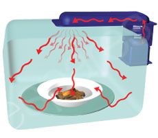 The Heating Effect Inside The Microwave