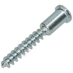 Bosch Screw