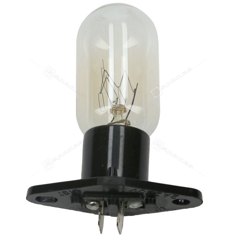 bulb and holder