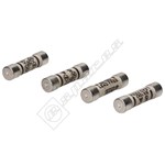 Wellco 5A Plug Top Fuses