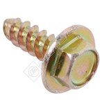 Hinge Screw