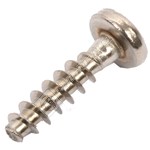 Bosch Screw