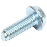 Amica Screw Of M6.16