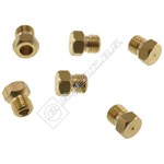 Indesit Oven LPG Injector Kit