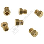 Oven LPG Injector Kit