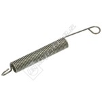 Indesit Dishwasher Door Spring - 170mm