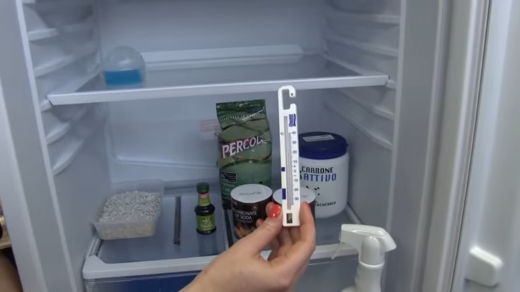 Checking The Fridge Temperature With A Fridge Thermometer