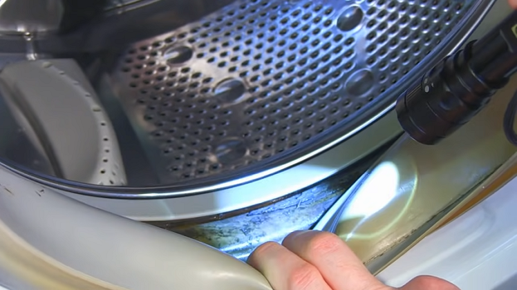 Inspecting A Washing Machine Door Seal With A Torch