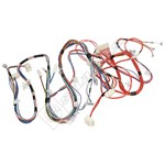 Candy Wiring harness