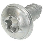 Beko Screw (B4.2*9.5-Tirtilli)