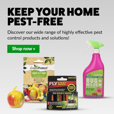 Keep your home pest-free