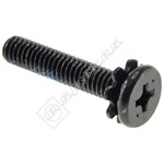 TV Screw Assembly