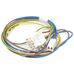 Indesit Wiring Module Earth