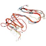 Hoover Wiring harness