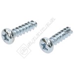 Steam Cleaner Screws for Handle - Pack of 2