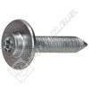 Bosch Screw