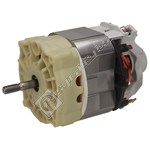 Lawnmower Motor Assembly