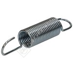Tumble Dryer Pulley Spring