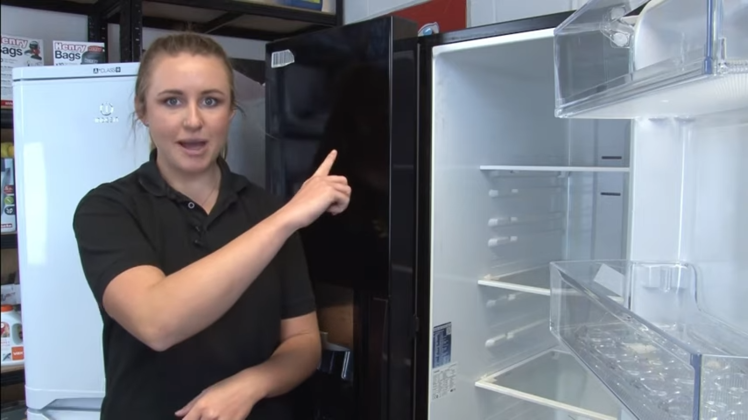 Checking The Sides Of The Fridge Or Freezer Door For The Rating Plate