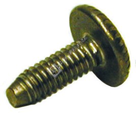 Oven Door Glass Fixing Screw Espares